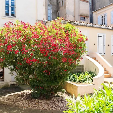 Agreable T2, Climatisation, Central, Paisible -ai * Carcassonne
